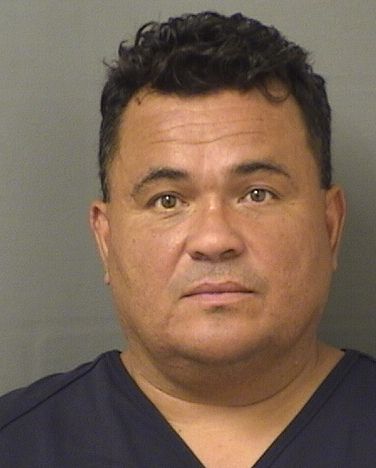  GUSTAVO ALFONSO SCHMIDT Results from Palm Beach County Florida for  GUSTAVO ALFONSO SCHMIDT