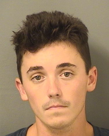  GRIFFIN MICHAEL PATTON Results from Palm Beach County Florida for  GRIFFIN MICHAEL PATTON