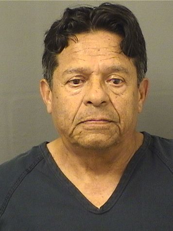  VICTOR HUGO FLORES Results from Palm Beach County Florida for  VICTOR HUGO FLORES