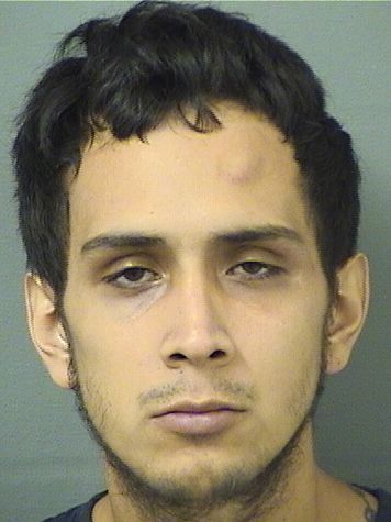  PATRICIO ANDRE ECHEANDIAMIRANDA Results from Palm Beach County Florida for  PATRICIO ANDRE ECHEANDIAMIRANDA