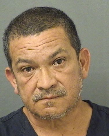  GUSTAVO ADOLFO RUAN Resultados de la busqueda para Palm Beach County Florida para  GUSTAVO ADOLFO RUAN