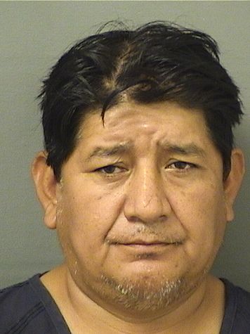  JUAN C FERRUFINOTORRICO Results from Palm Beach County Florida for  JUAN C FERRUFINOTORRICO