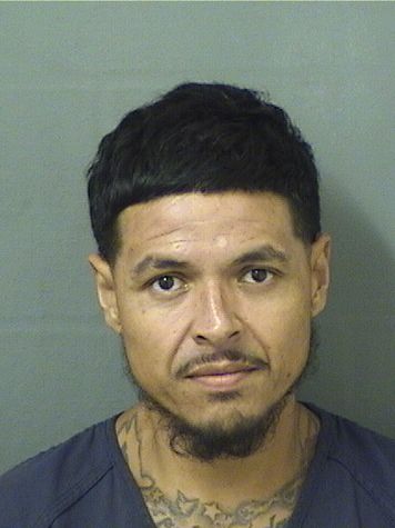  ADALBERTO JAIMES Photo