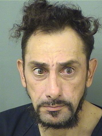  MICAH FALZARONO Results from Palm Beach County Florida for  MICAH FALZARONO