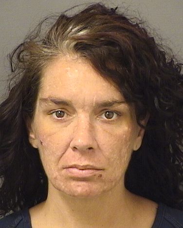  AUDRIANA ELISE HOGAN Results from Palm Beach County Florida for  AUDRIANA ELISE HOGAN