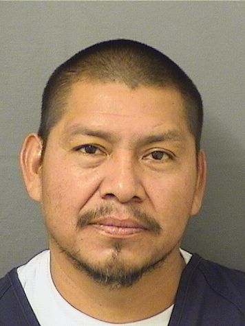  JUAN CARLOS MIGUEL Results from Palm Beach County Florida for  JUAN CARLOS MIGUEL
