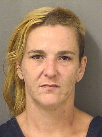 KRYSTAL JEANINE ROMAN Results from Palm Beach County Florida for  KRYSTAL JEANINE ROMAN
