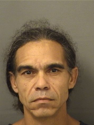  AMAURY RAMIREZCASTELLANOS Results from Palm Beach County Florida for  AMAURY RAMIREZCASTELLANOS