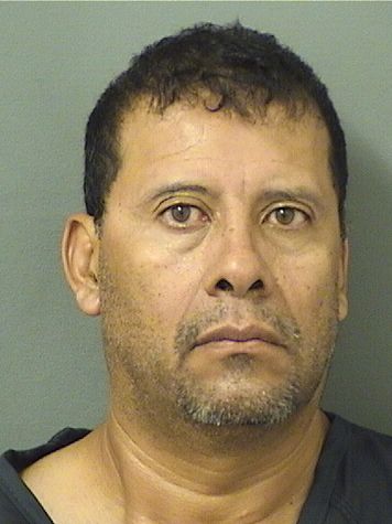  ELMER R JACINTOGONZALEZ Results from Palm Beach County Florida for  ELMER R JACINTOGONZALEZ