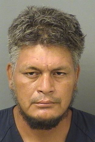  JOHNNY VENTURA MIRANDDIAZ Results from Palm Beach County Florida for  JOHNNY VENTURA MIRANDDIAZ