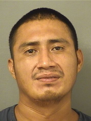  JOSUE GUMERCINDO PEREZ Results from Palm Beach County Florida for  JOSUE GUMERCINDO PEREZ