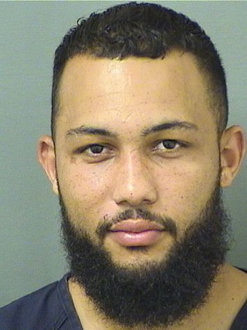  DOMINIC FRANCIS BROWN Results from Palm Beach County Florida for  DOMINIC FRANCIS BROWN
