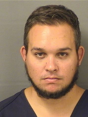  EVAN ANDREW MATZKOW Results from Palm Beach County Florida for  EVAN ANDREW MATZKOW