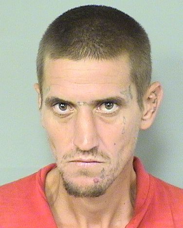  DOUGLAS SCOTT SHELTON Results from Palm Beach County Florida for  DOUGLAS SCOTT SHELTON