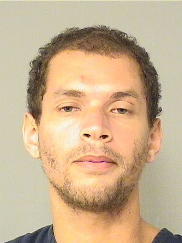  JOEY TAYLOR MOREIRA Results from Palm Beach County Florida for  JOEY TAYLOR MOREIRA