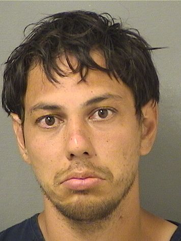  JOSEPH D RUTKOWSKI Results from Palm Beach County Florida for  JOSEPH D RUTKOWSKI