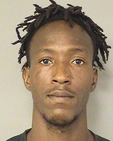  MICHAEL J WATSON Results from Palm Beach County Florida for  MICHAEL J WATSON