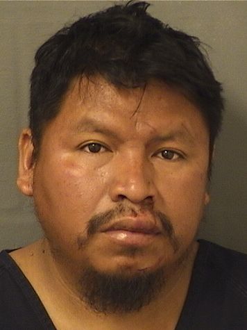 MAURO PAPILLA CUTZITZEP Photos For  MAURO PAPILLA CUTZITZEP  MAURO PAPILLA CUTZITZEP Photo For  MAURO PAPILLA CUTZITZEP