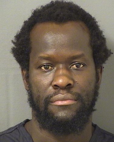  LECLERC J VIL Results from Palm Beach County Florida for  LECLERC J VIL