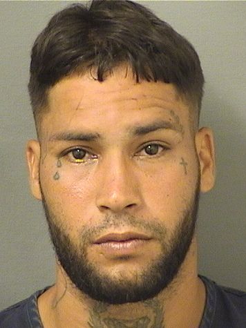  MIGUEL VELEZDEJESUS Results from Palm Beach County Florida for  MIGUEL VELEZDEJESUS