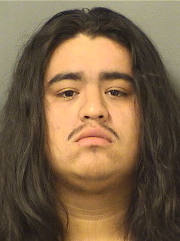  VICTOR DANIEL ELIAS Results from Palm Beach County Florida for  VICTOR DANIEL ELIAS