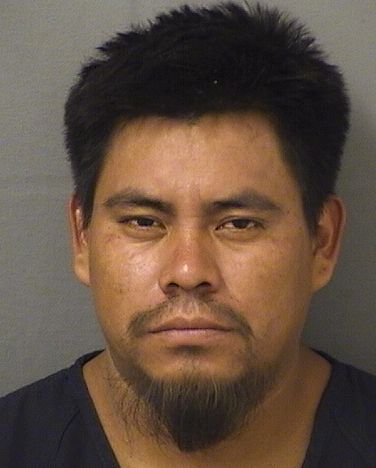  MARTIN MARCELO MENDEZSANCHEZ Results from Palm Beach County Florida for  MARTIN MARCELO MENDEZSANCHEZ