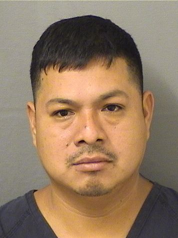  EMIDIO CHAVEZRAMIREZ Resultados de la busqueda para Palm Beach County Florida para  EMIDIO CHAVEZRAMIREZ