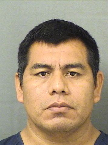  JULIO RODRIGUEZLUIS Resultados de la busqueda para Palm Beach County Florida para  JULIO RODRIGUEZLUIS