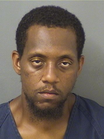  JUSTIN ELI HARRELLBROWN Results from Palm Beach County Florida for  JUSTIN ELI HARRELLBROWN