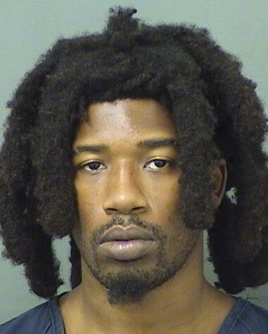  ELLIOTT TRAVIS J DENSON Results from Palm Beach County Florida for  ELLIOTT TRAVIS J DENSON