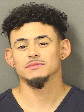  CHRISTOPHER MICHAEL ALAMO Results from Palm Beach County Florida for  CHRISTOPHER MICHAEL ALAMO