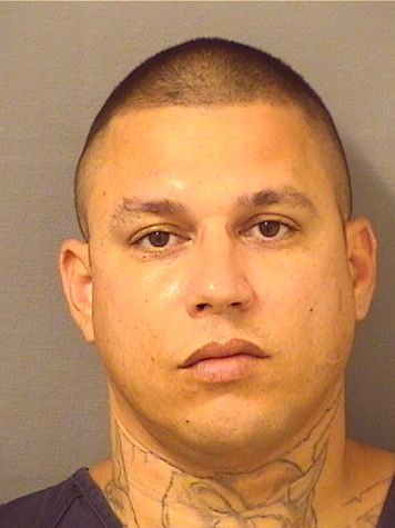 ELMER ROMAN RIVERA Results from Palm Beach County Florida for ELMER ROMAN RIVERA ELMER ROMAN RIVERA Results from Palm Beach County Florida for ELMER ROMAN RIVERA