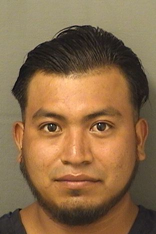  ELISANDRO ARVIN MORALESSALES Results from Palm Beach County Florida for  ELISANDRO ARVIN MORALESSALES