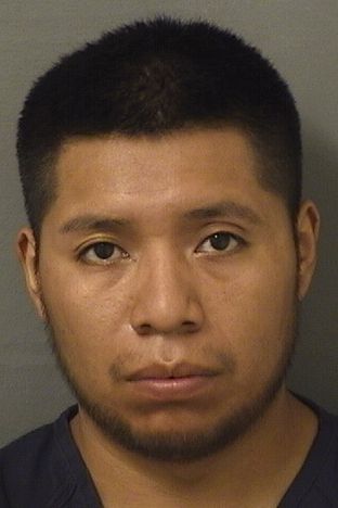  HERMAN ARMANDO GONZALEZ Results from Palm Beach County Florida for  HERMAN ARMANDO GONZALEZ