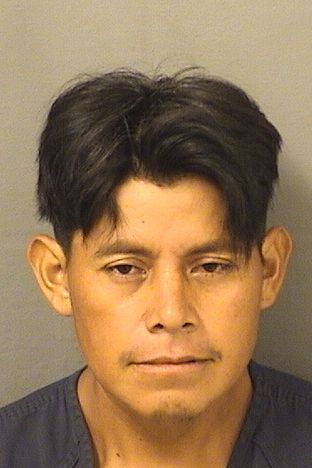 ALEJANDRO FRANCISCO Results from Palm Beach County Florida for ALEJANDRO FRANCISCO ALEJANDRO FRANCISCO Results from Palm Beach County Florida for ALEJANDRO FRANCISCO