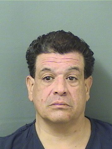  STEVEN MATTHEW GONZALEZ Results from Palm Beach County Florida for  STEVEN MATTHEW GONZALEZ