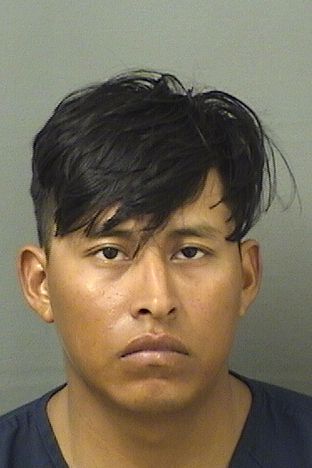  HENRY ENRIQUE TRIGUEROSBERDUO Results from Palm Beach County Florida for  HENRY ENRIQUE TRIGUEROSBERDUO