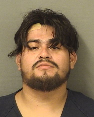  NERY DENILSON MEJIA Results from Palm Beach County Florida for  NERY DENILSON MEJIA