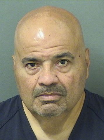  NELSON P PEREZ Resultados de la busqueda para Palm Beach County Florida para  NELSON P PEREZ