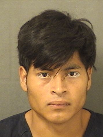  JAIRO M PEREZLOPEZ Results from Palm Beach County Florida for  JAIRO M PEREZLOPEZ