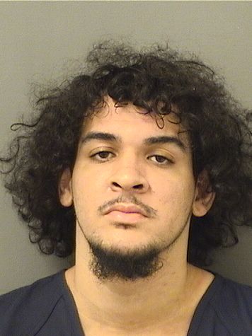  JUAN JESUS RODRIGUEZ Results from Palm Beach County Florida for  JUAN JESUS RODRIGUEZ