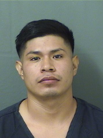  ROSARIO HERNANDEZMORALES Resultados de la busqueda para Palm Beach County Florida para  ROSARIO HERNANDEZMORALES