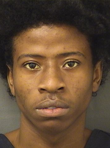  EDDRINE JANARD LEWIS Results from Palm Beach County Florida for  EDDRINE JANARD LEWIS