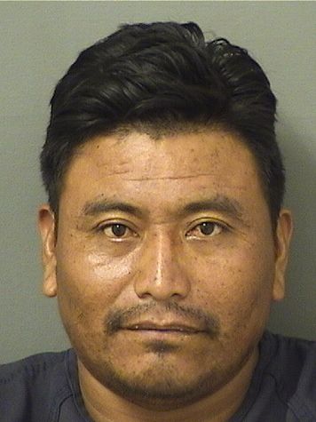  HERMINIO R PEREZPEREZ Results from Palm Beach County Florida for  HERMINIO R PEREZPEREZ
