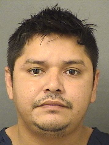  ELYING MANUEL LOPEZSELANO Results from Palm Beach County Florida for  ELYING MANUEL LOPEZSELANO