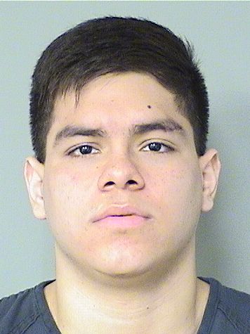  MILLER A YIMESCEPEDA Results from Palm Beach County Florida for  MILLER A YIMESCEPEDA