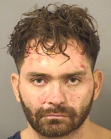 ELISHA HANES Photos For  ELISHA HANES  ELISHA HANES Photo For  ELISHA HANES