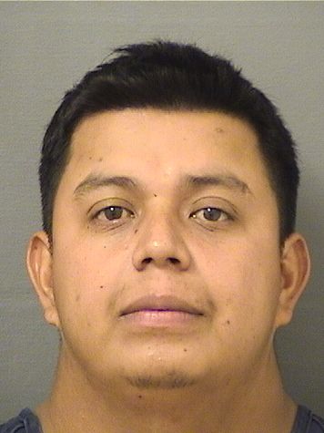  EDDY DAVID SALAZARSILVA Results from Palm Beach County Florida for  EDDY DAVID SALAZARSILVA