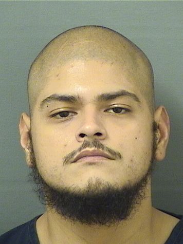  DAVID CORADO Results from Palm Beach County Florida for  DAVID CORADO