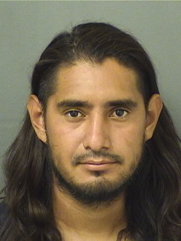  MARLON ALEXIS MANCIAMALDONADO Results from Palm Beach County Florida for  MARLON ALEXIS MANCIAMALDONADO